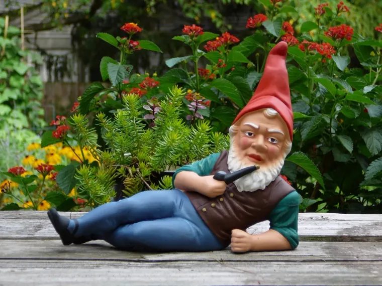 Input: one garden gnome photo